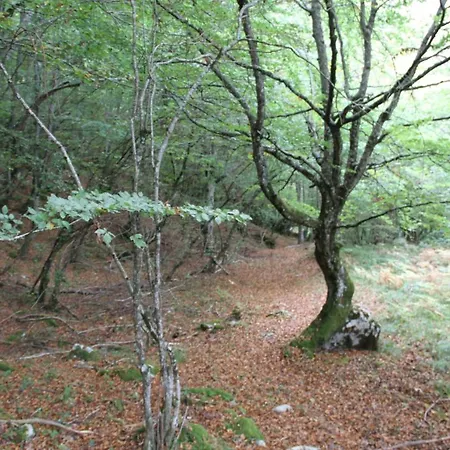 La Casona De Palmira Caín