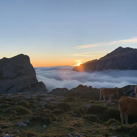 La Casona De Palmira Caín